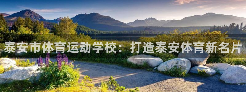 领航国际体育平台登录入口：泰安市体育运动学校：打造泰安体育新名片