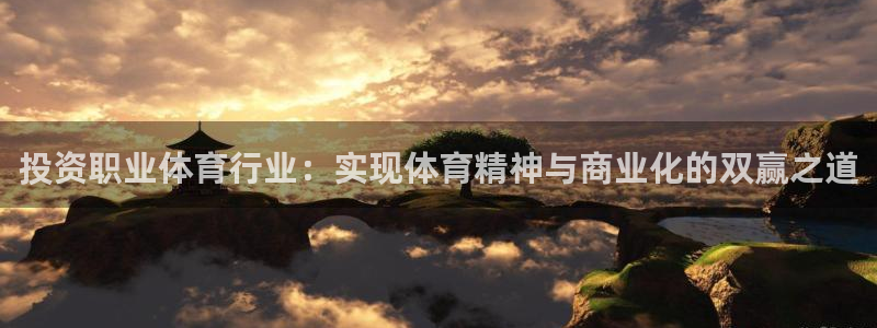 意昂的动画：投资职业体育行业：实现体育精神与商业化的双赢之道