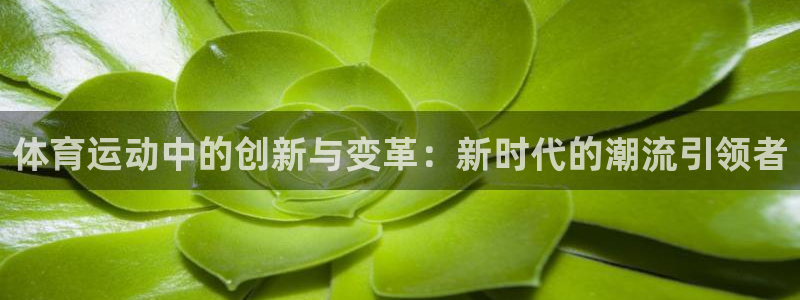 意昂工课：体育运动中的创新与变革：新时代的潮流引领者