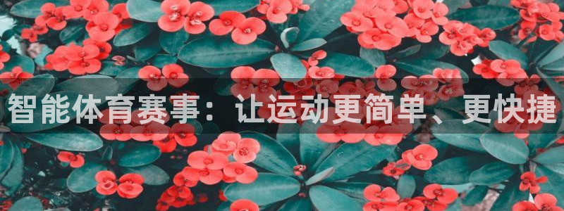 意昂5：智能体育赛事：让运动更简单、更快捷