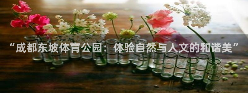 领航国际体育注册平台：“成都东坡体育公园：体验自然与人文的和谐美”