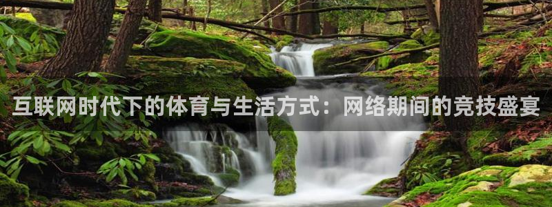 领航国际体育凯捷代理注册：互联网时代下的体育与生活方式：网络期间的竞技盛宴
