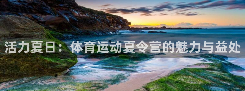 领航国际体育代理：活力夏日：体育运动夏令营的魅力与益处