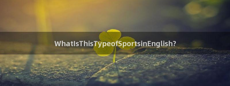 领航国际集团官网：WhatIsThisTypeofSportsinEnglish